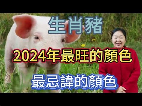 帶孝顏色|2024最旺帶孝顏色公開!風水師預測